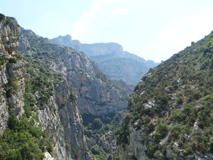 DSC00517