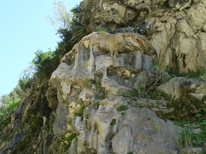 DSC00576