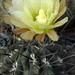 DSC04764