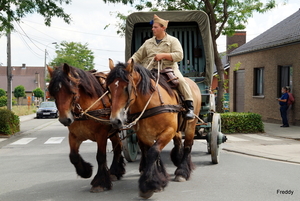 De Bevrijding 1918-2018