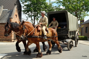 De Bevrijding 1918-2018