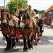 De Bevrijding 1918-2018