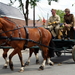 De Bevrijding 1918-2018