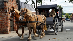 De Bevrijding 1918-2018