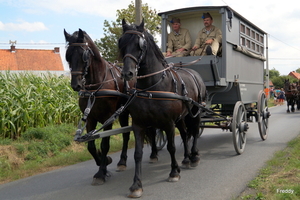 De Bevrijding 1918-2018