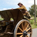 De Bevrijding 1918-2018