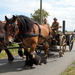 De Bevrijding 1918-2018