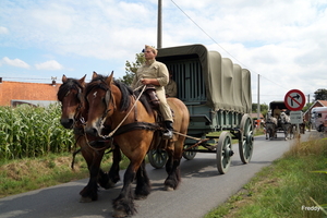 De Bevrijding 1918-2018