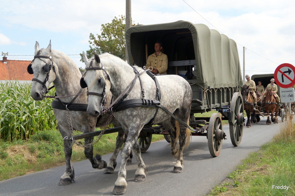 De Bevrijding 1918-2018