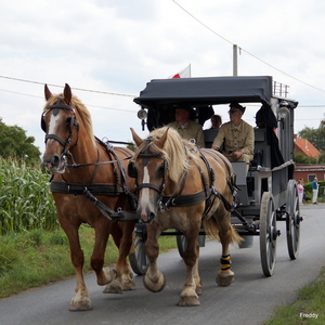 De Bevrijding 1918-2018