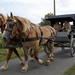 De Bevrijding 1918-2018