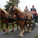 De Bevrijding 1918-2018