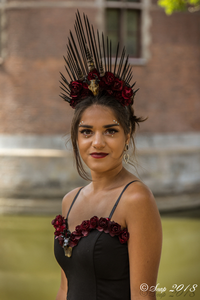 IMG_8864