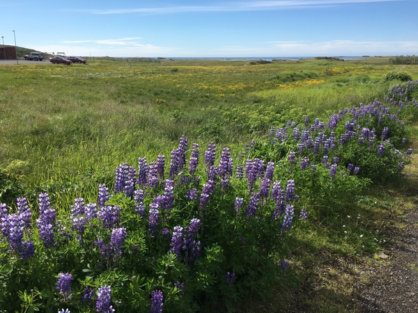 402F3DF8-A65E-44CD-B447-9FCF3743F68A