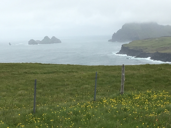 F4490D79-F9F5-4667-92A7-AD5929F8EAB3