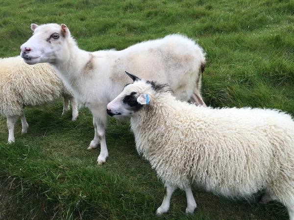 BB583187-8889-48F1-871B-6D43F83D7E14