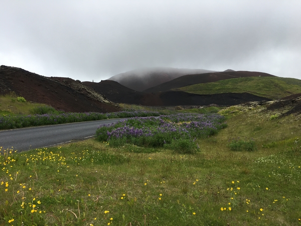 567B806A-4222-491F-927D-B2B54438AC5B