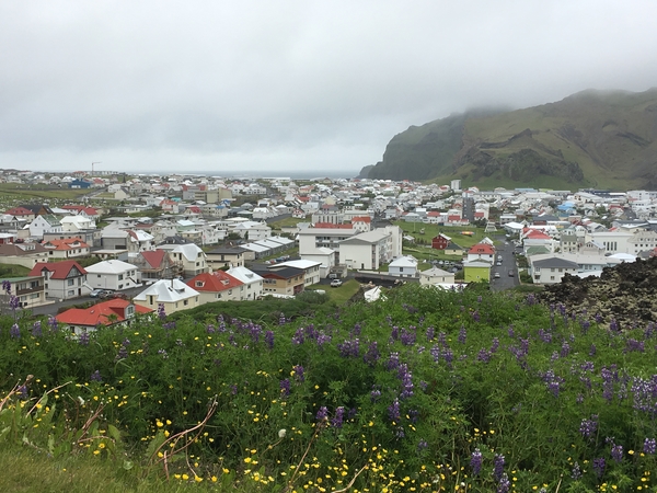 28C6BD27-4EE2-484B-BF8C-D7366F030647