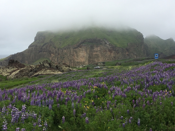 4A89D02B-BD4D-4128-8BA1-9E2FE3D6C0AC