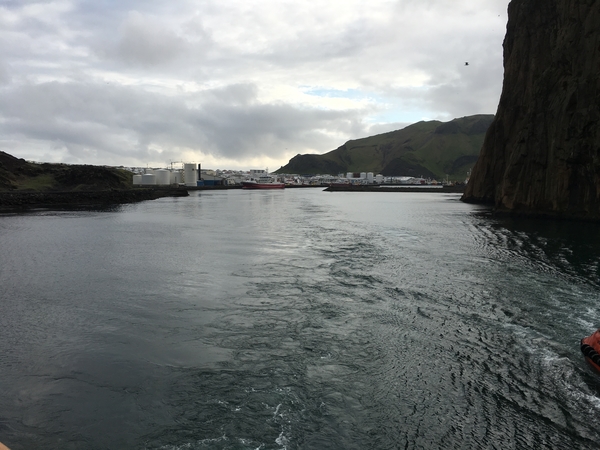 DF19153B-F0F0-40F8-8550-A0FFB9479404