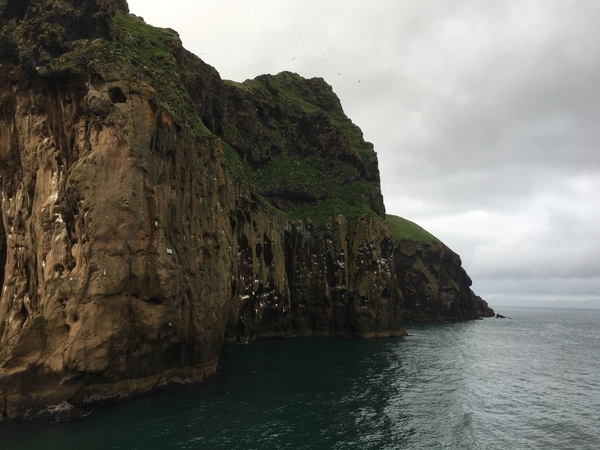 60E05BBE-5DD6-4D1D-B09A-4B541B2573D2