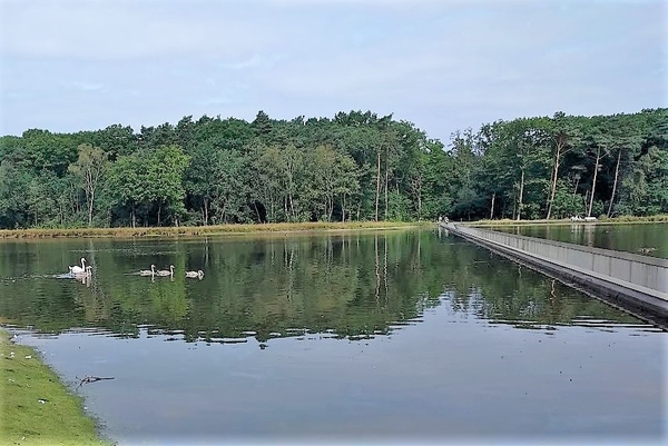 Fietsen door het water 16-08-2018  (3)