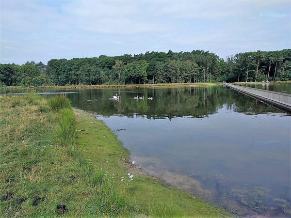 Fietsen door het water 16-08-2018  (4)