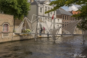 fvd080818