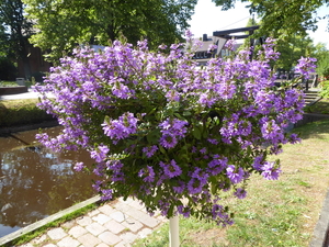 47. Papenburg, het stadje