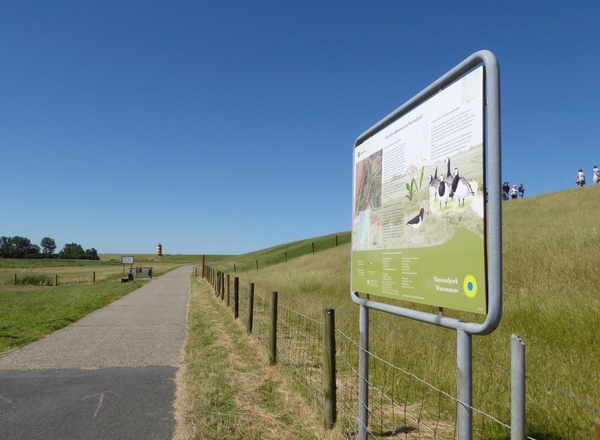 61. Pilsum, Nationalpark Wattenmeer