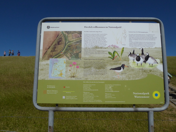 62. Pilsum, Nationalpark Wattenmeer