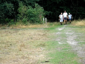 Uit de Genkse bossen