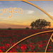 template 134 gereed