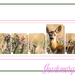 template 162 gereed