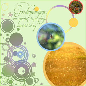 template 179 gereed