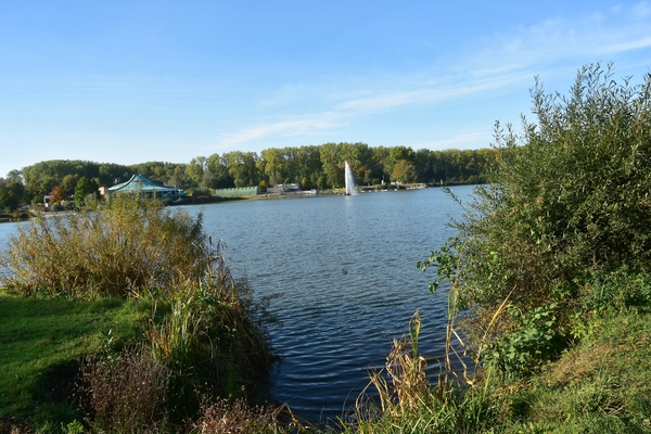 DSC_4253