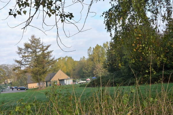 DSC_4517