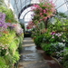 9-long-greenhouse