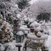 72-best-garden-winter-wonderland-images-on-pinterest-winter-gifts