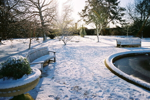 Winter-Landscaping-Tips-1030x690