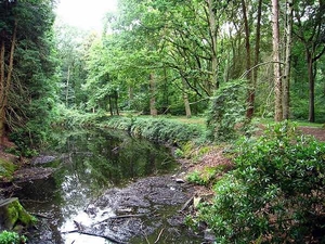 IMG_0403