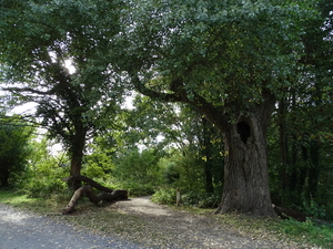 DSC00904