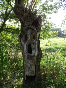 DSC01011