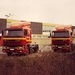 2 X Daf