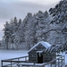 416744-christmas-snow-scene-wallpaper-2560x1600-high-resolution