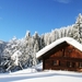 cabin_winter_hills_loghut_trees_landscape-_gBx
