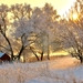 priroda-zima-sneg-derevya-604094