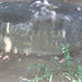 Taman Nusa