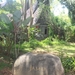 Taman Nusa
