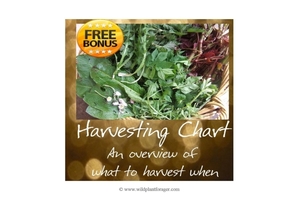 Harvesting chart